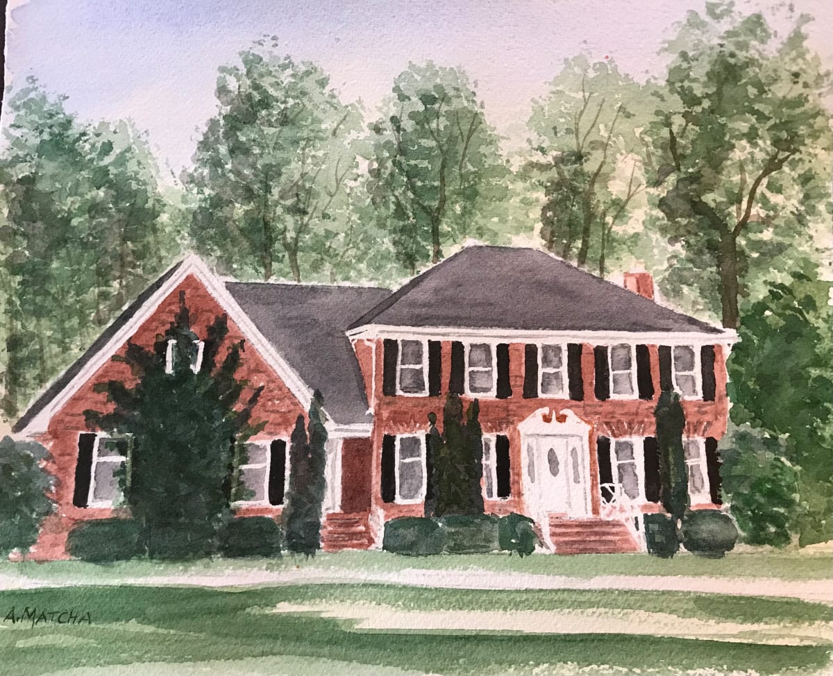 Steve & Traci's House 