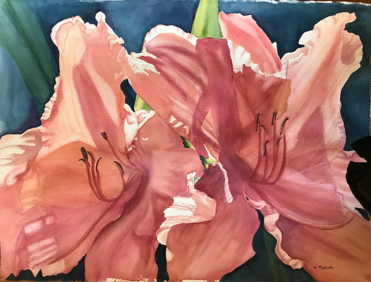 Backlit Lilies 2 