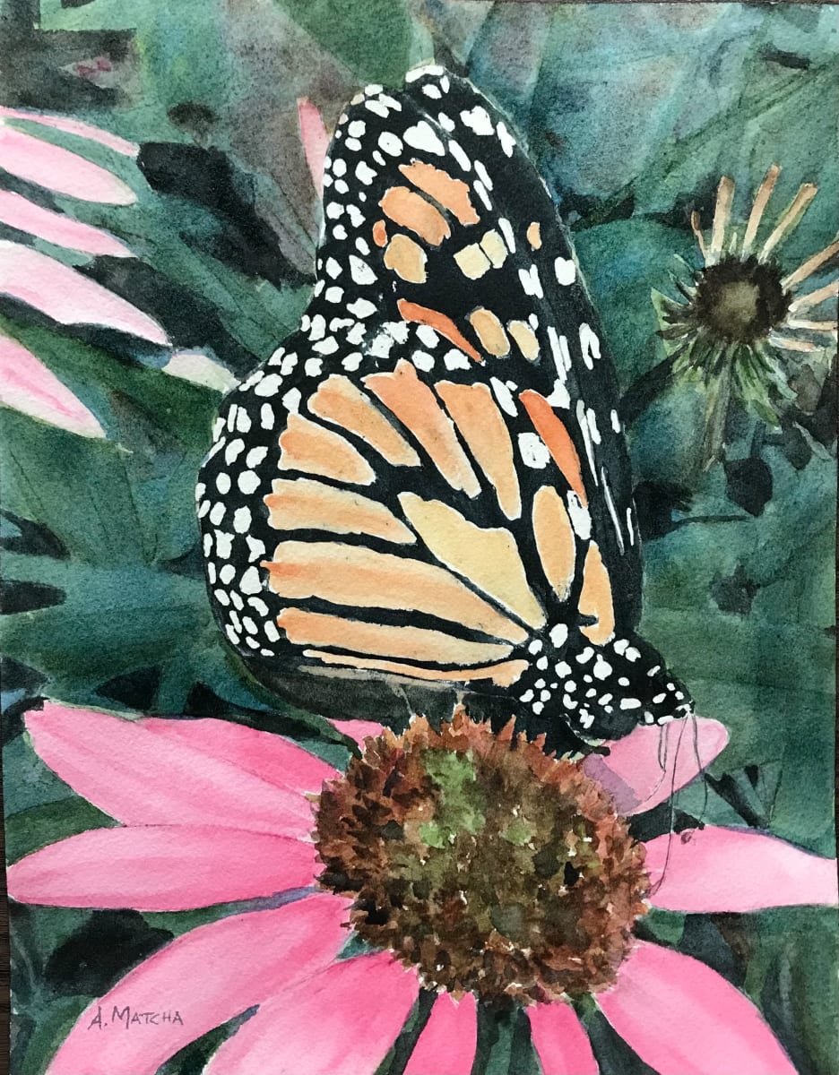 Monarch 