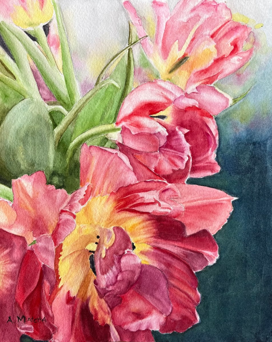 Tulips by Anita Matcha 