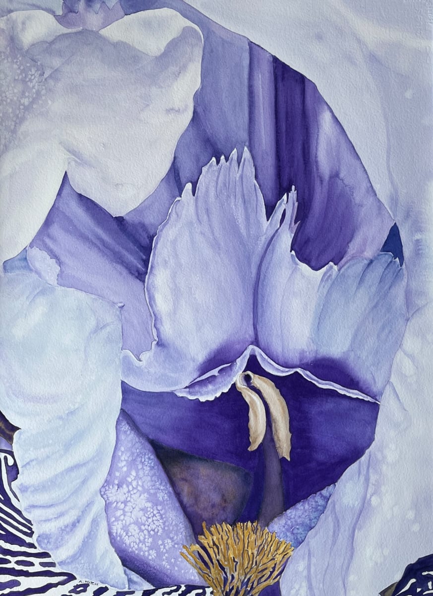 Intimate Iris by Anita Matcha 