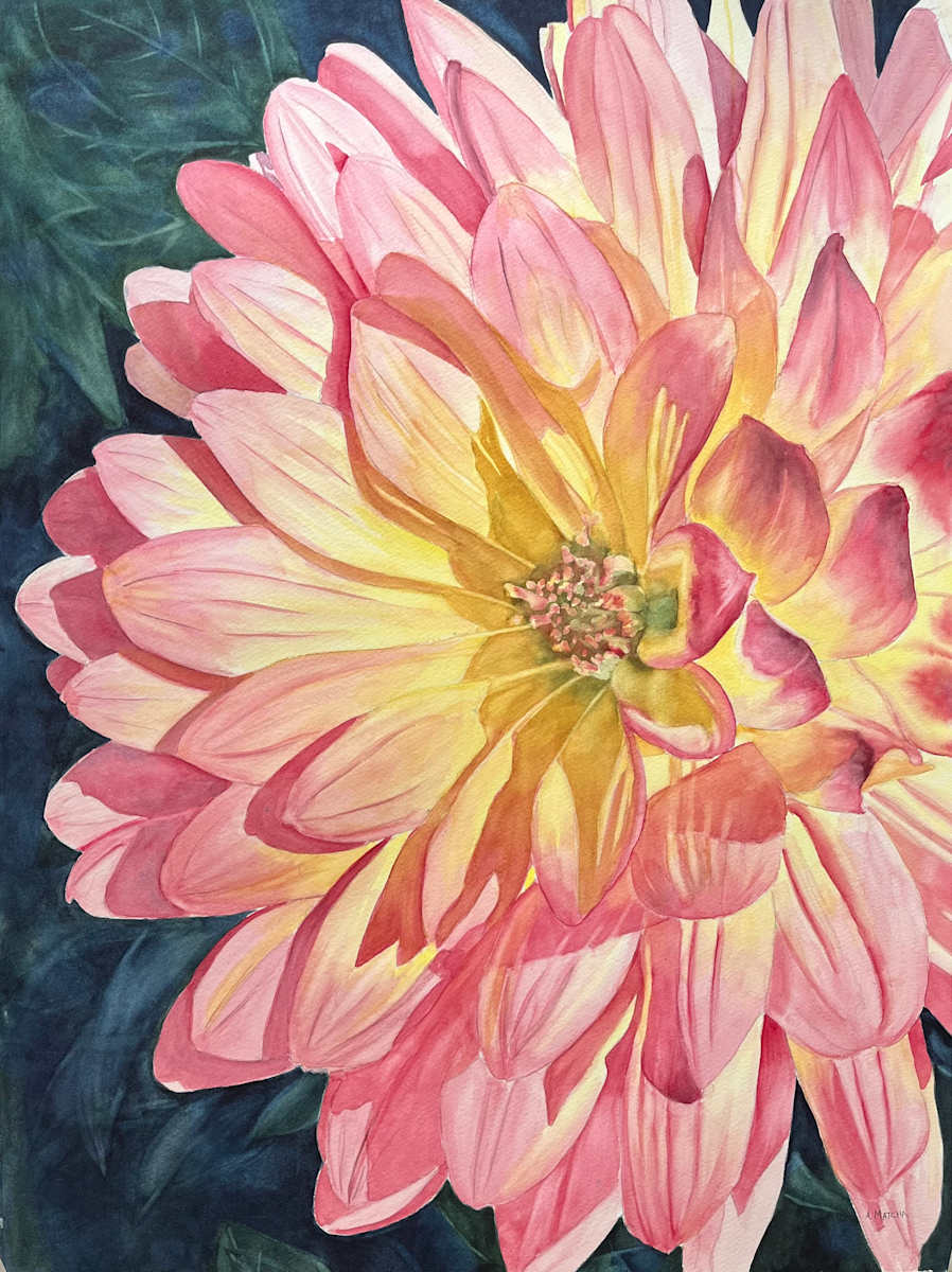 Hello, Dahlia by Anita Matcha 