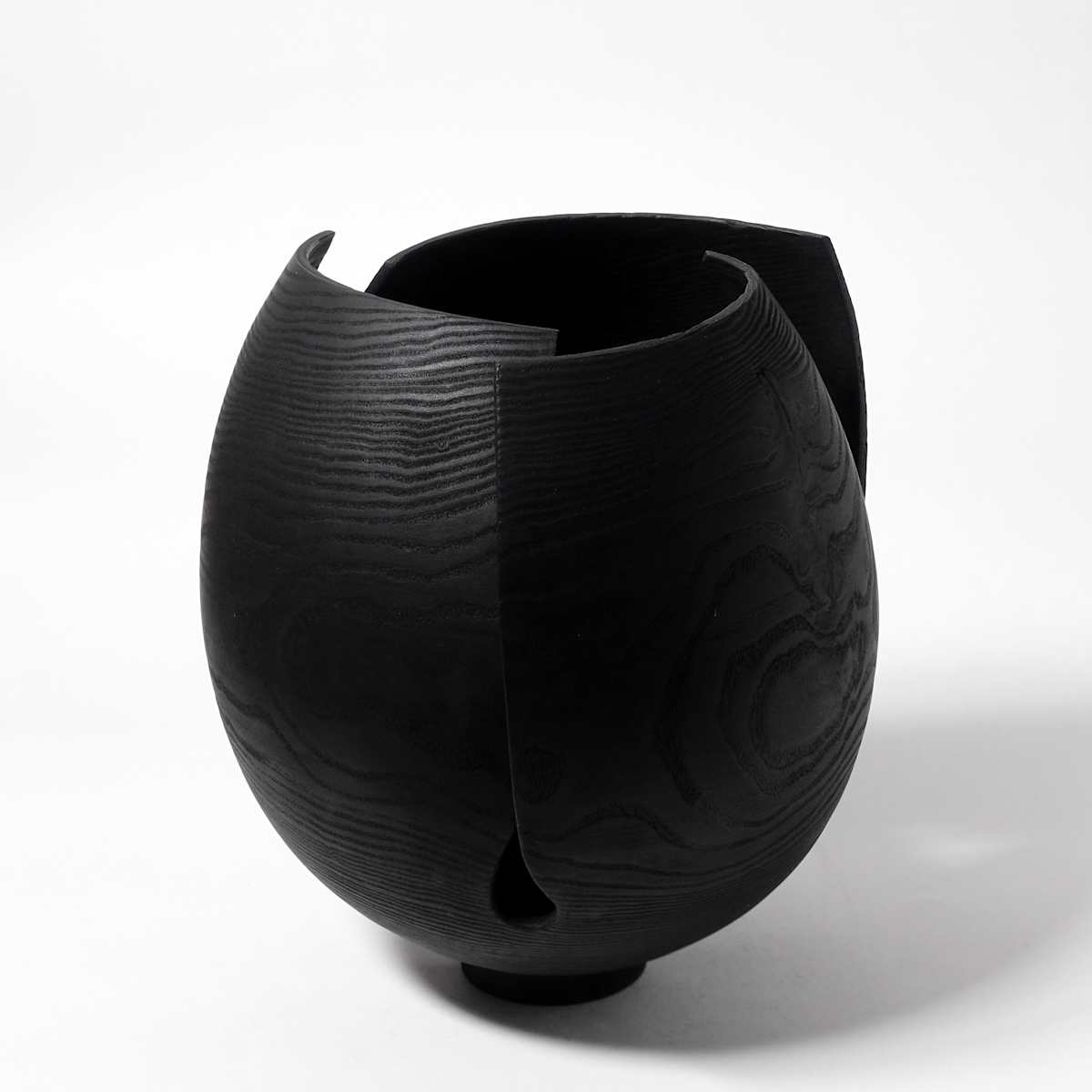 Bloom by Andreas Krätschmer 