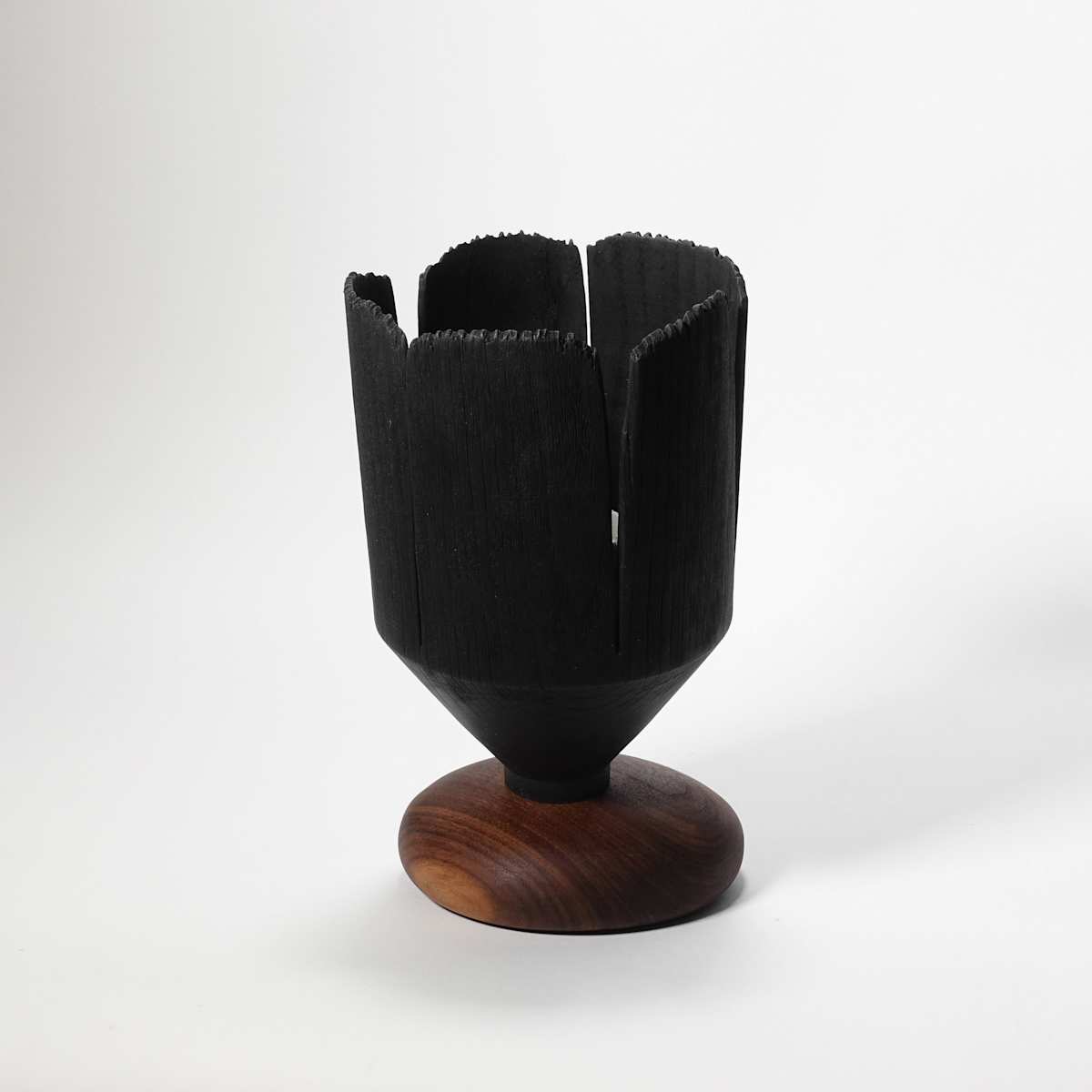 Blooming through adversity II by Andreas Krätschmer, Image 14.