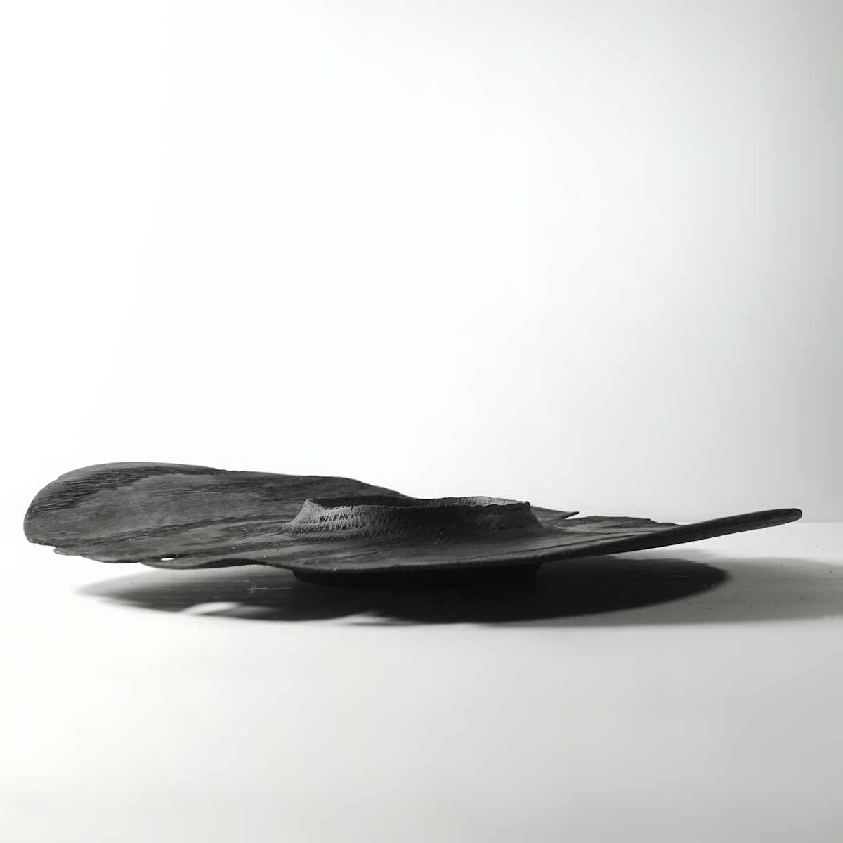 Burned platter, Image 4.