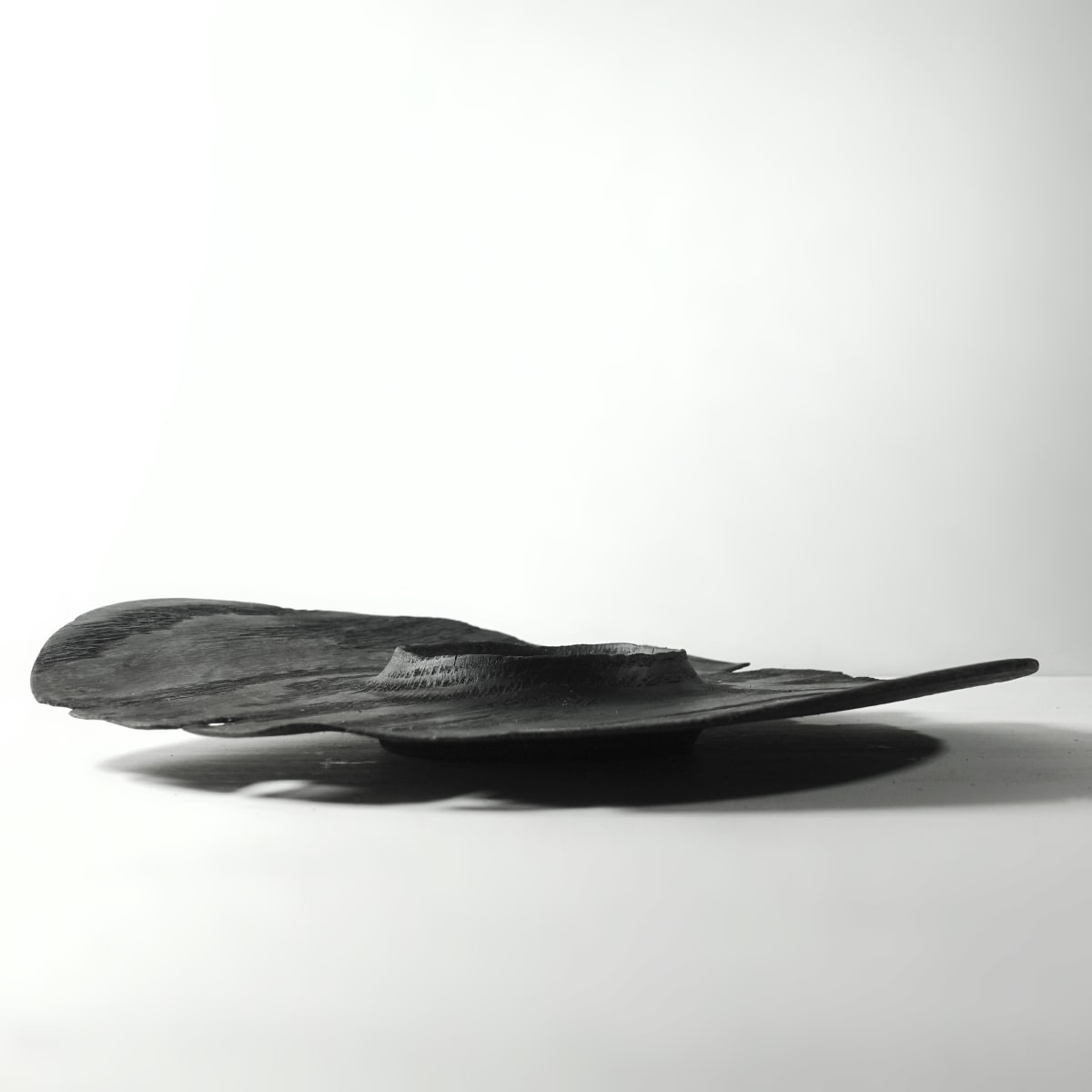 Burned platter, Image 4.