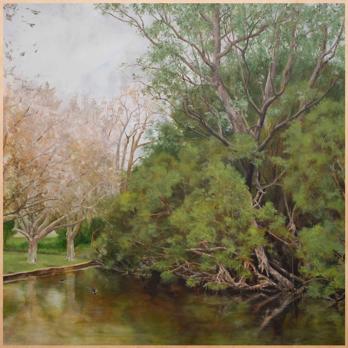 Beneath the Bark by Kirsten Hocking  Image: "Beneath the Bark", original painting by Kirsten Hocking, oil on gessoed wood panel, 100cm x 100cm (unframed)