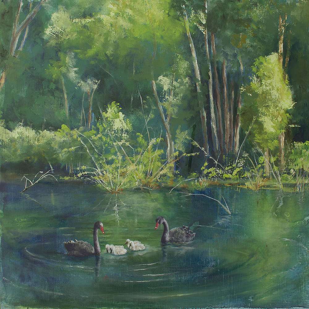 Cygnets in Spring by Kirsten Hocking  Image: "Cygnets in Spring", original painting by Kirsten Hocking, oil and mixed media on wood, 30.5cm x 30.5cm (unframed)