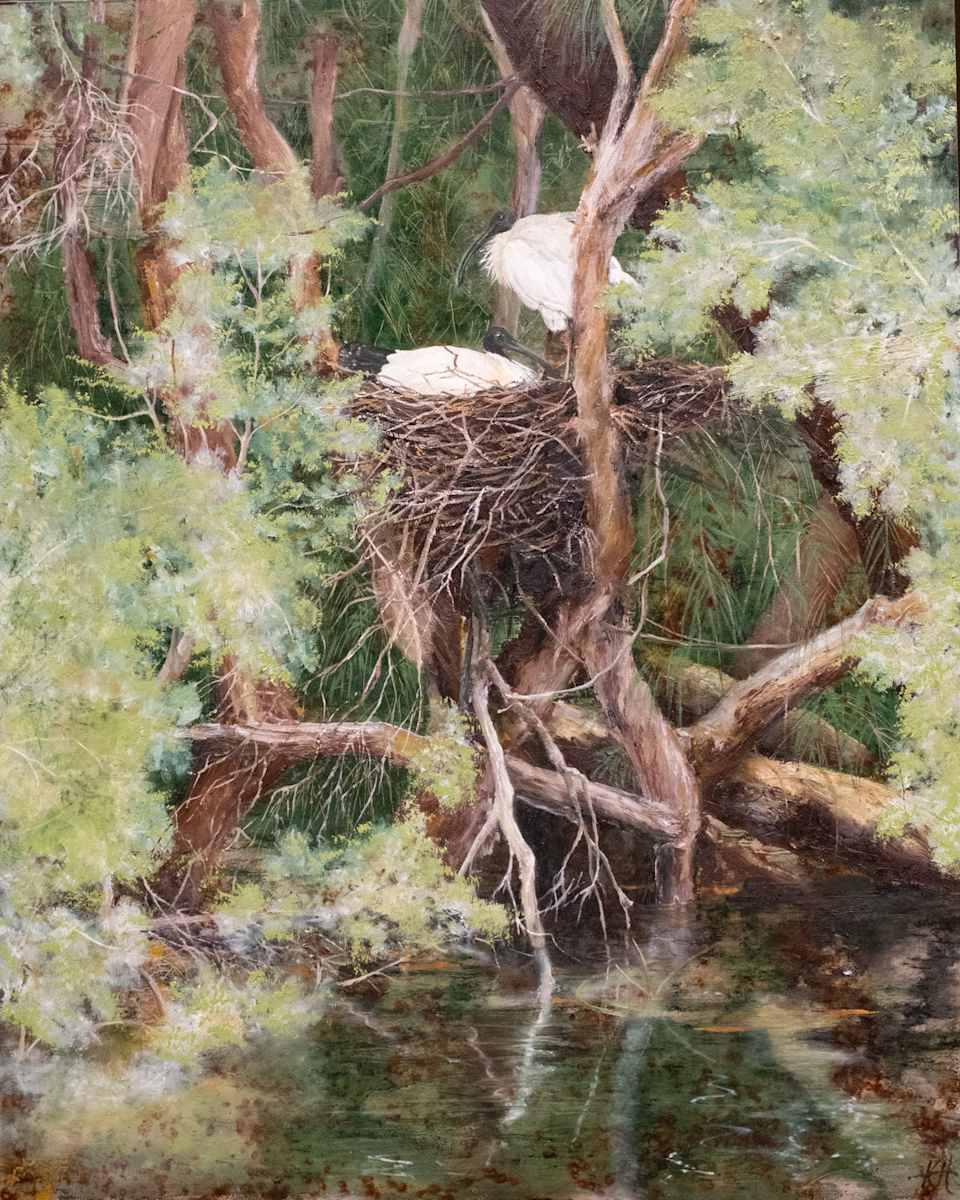 Nesting Wild Ibis by Kirsten Hocking  Image: "Nesting Wild Ibis", original painting by Kirsten Hocking, oil and mixed media on wood, 40cm x 50cm (unframed)