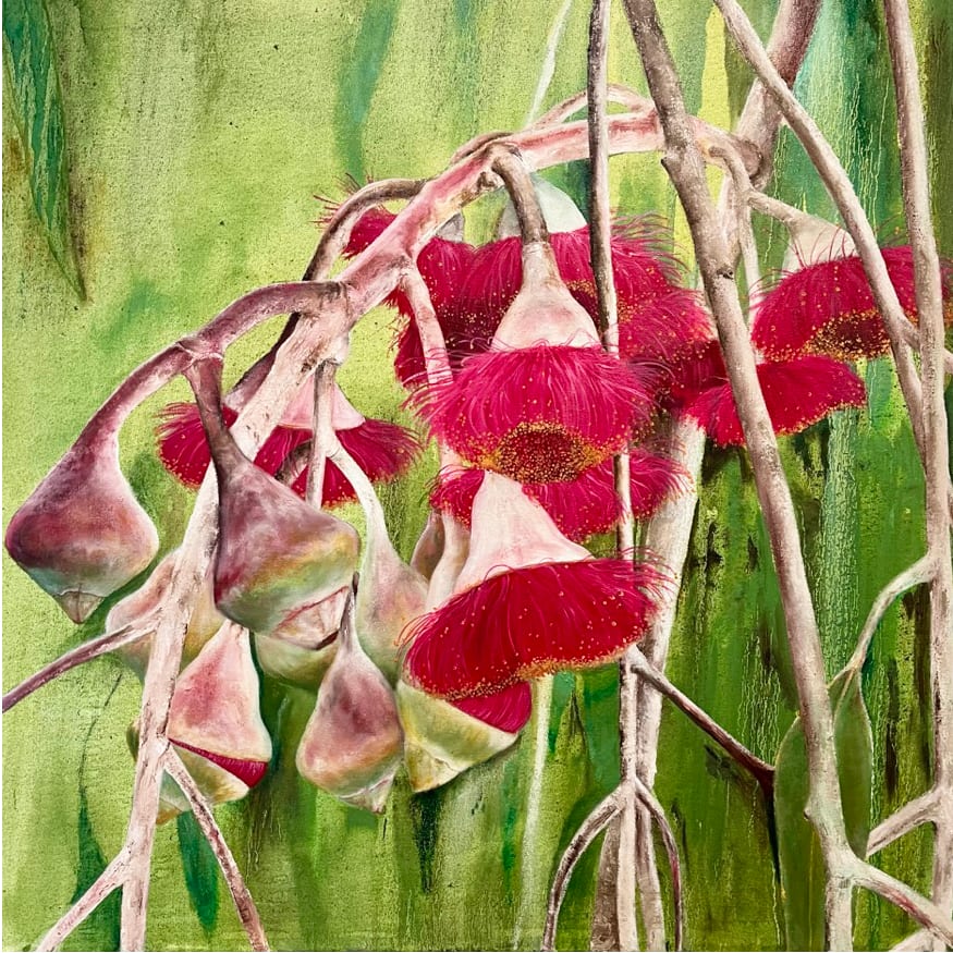 Silver Princess Flowers by Kirsten Hocking  Image: "Silver Princess Flowers", original painting by Kirsten Hocking, oil on canvas, 76cm x 76cm (unframed)