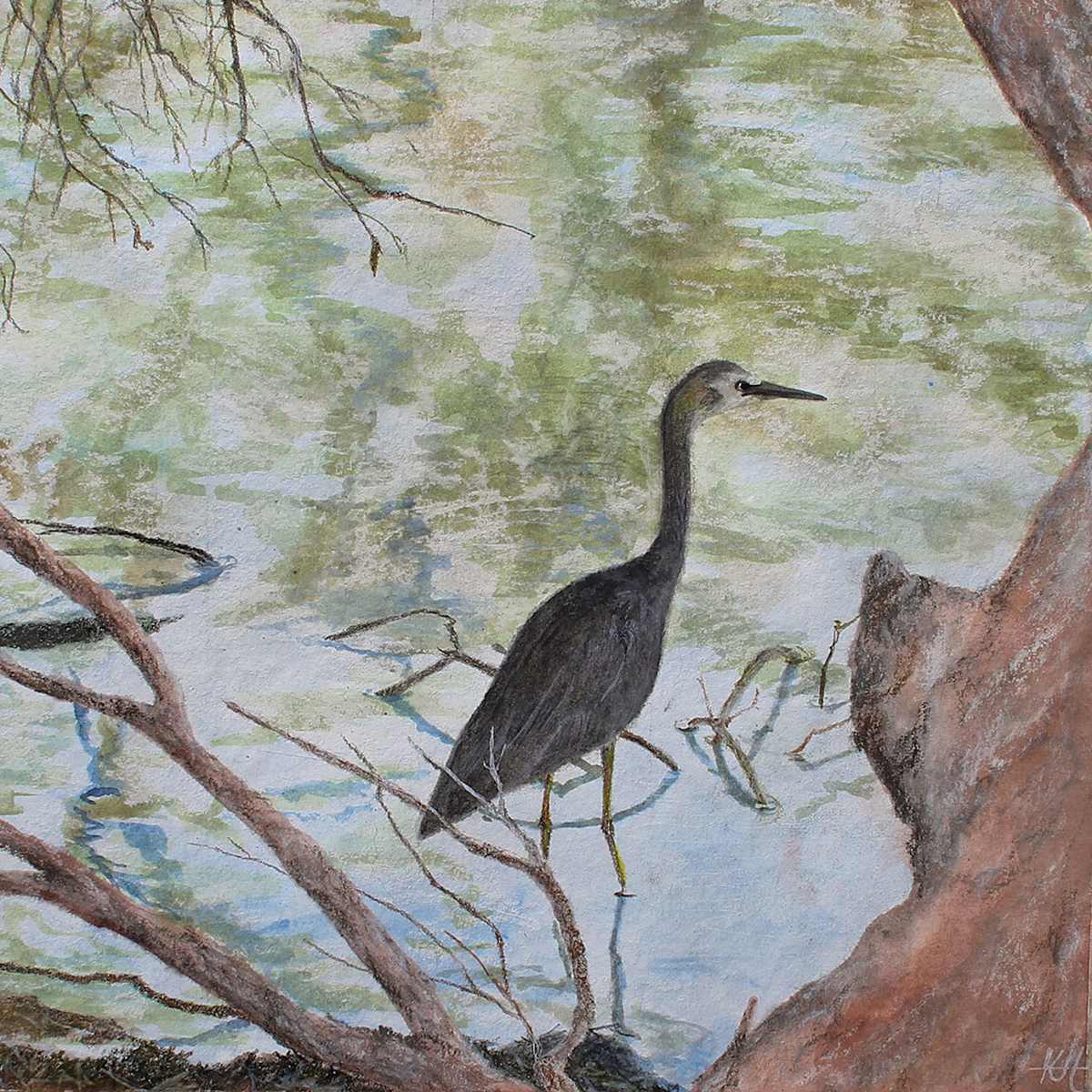 White Faced Heron by the Lakeside III by Kirsten Hocking  Image: "White Faced Heron by the Lakeside III", original painting by Kirsten Hocking, mixed media on cotton paper, 25cm x 25cm (unframed), 2024