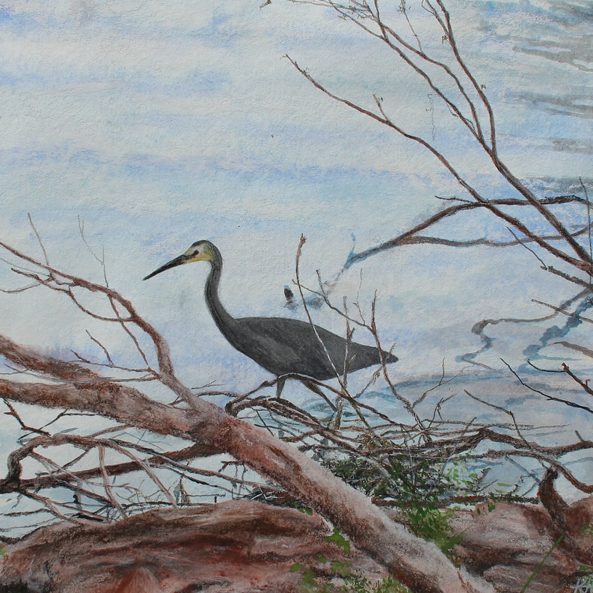 White Faced Heron by the Lakeside I by Kirsten Hocking  Image: "White Faced Heron by the Lakeside I", original painting by Kirsten Hocking, mixed media on cotton paper, 25cm x 25cm (unframed), 2024