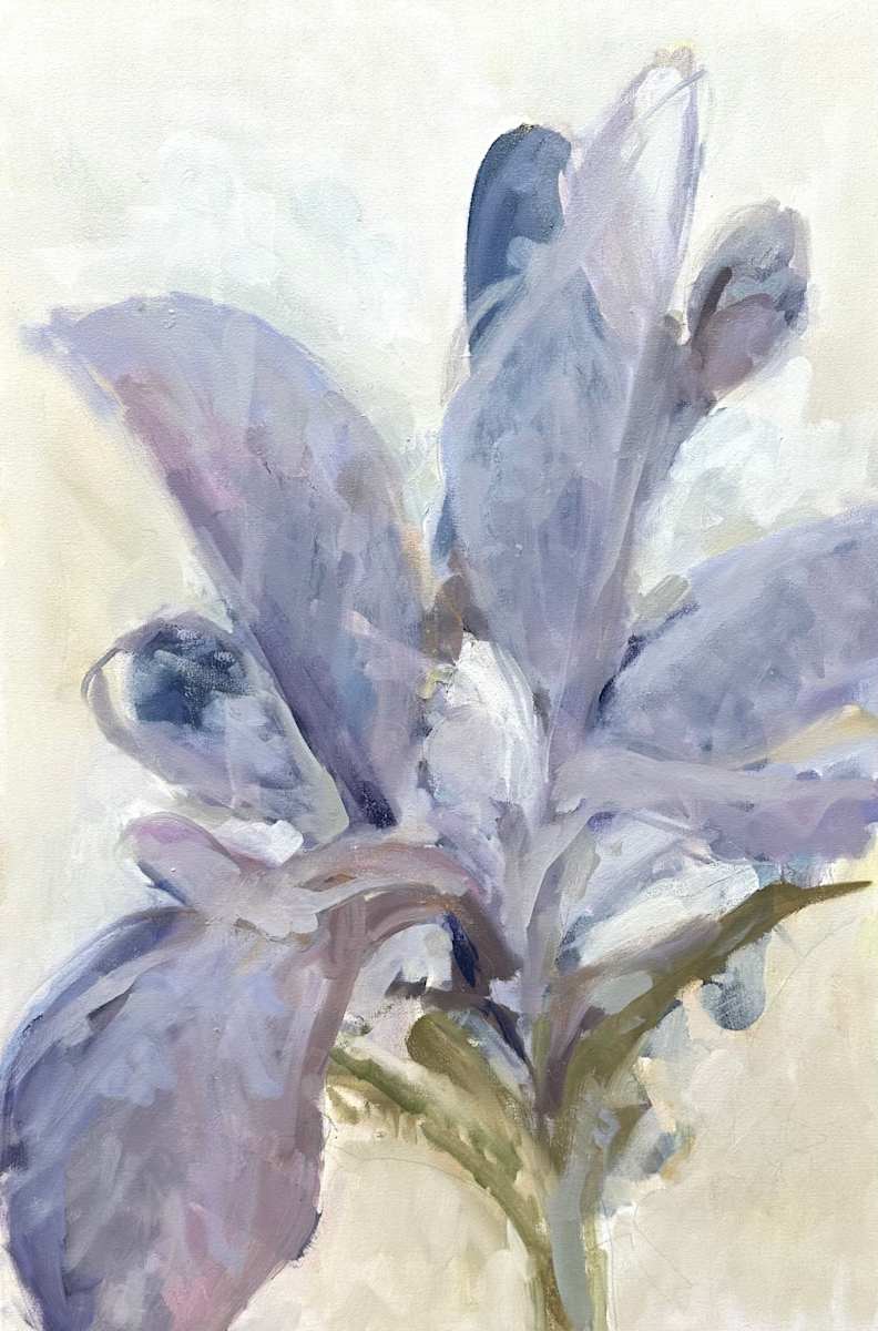 wild iris by Christen Yates 