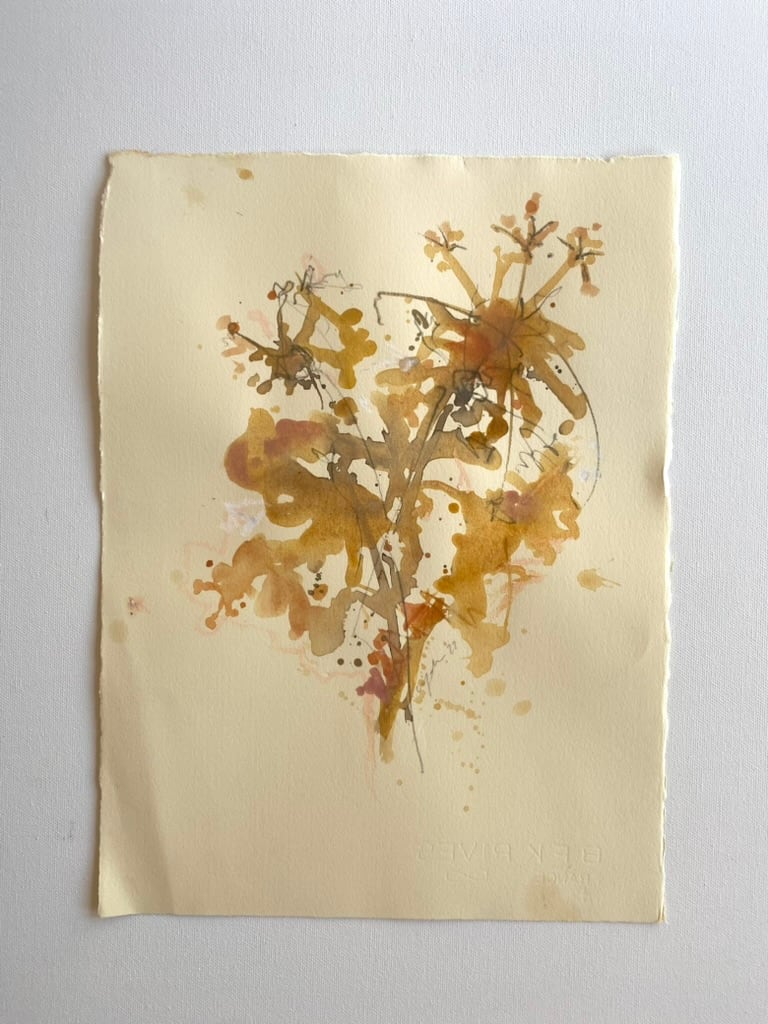queen anne's lace meditation I by Christen Yates 