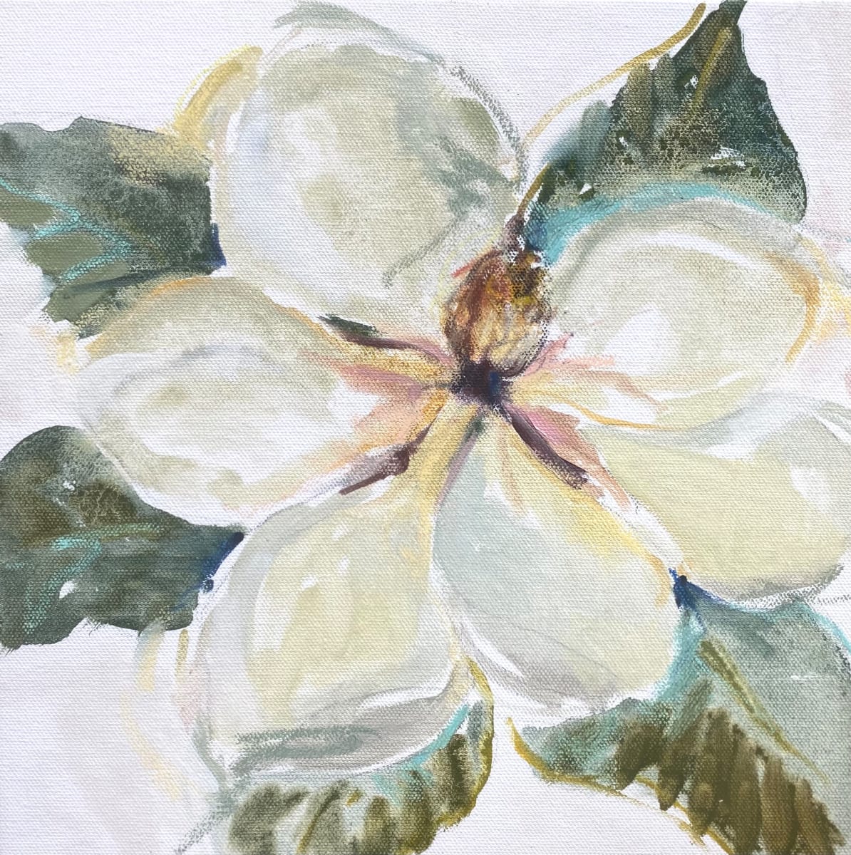 magnolia study 