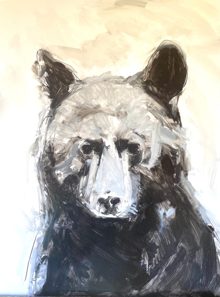 bear study 
