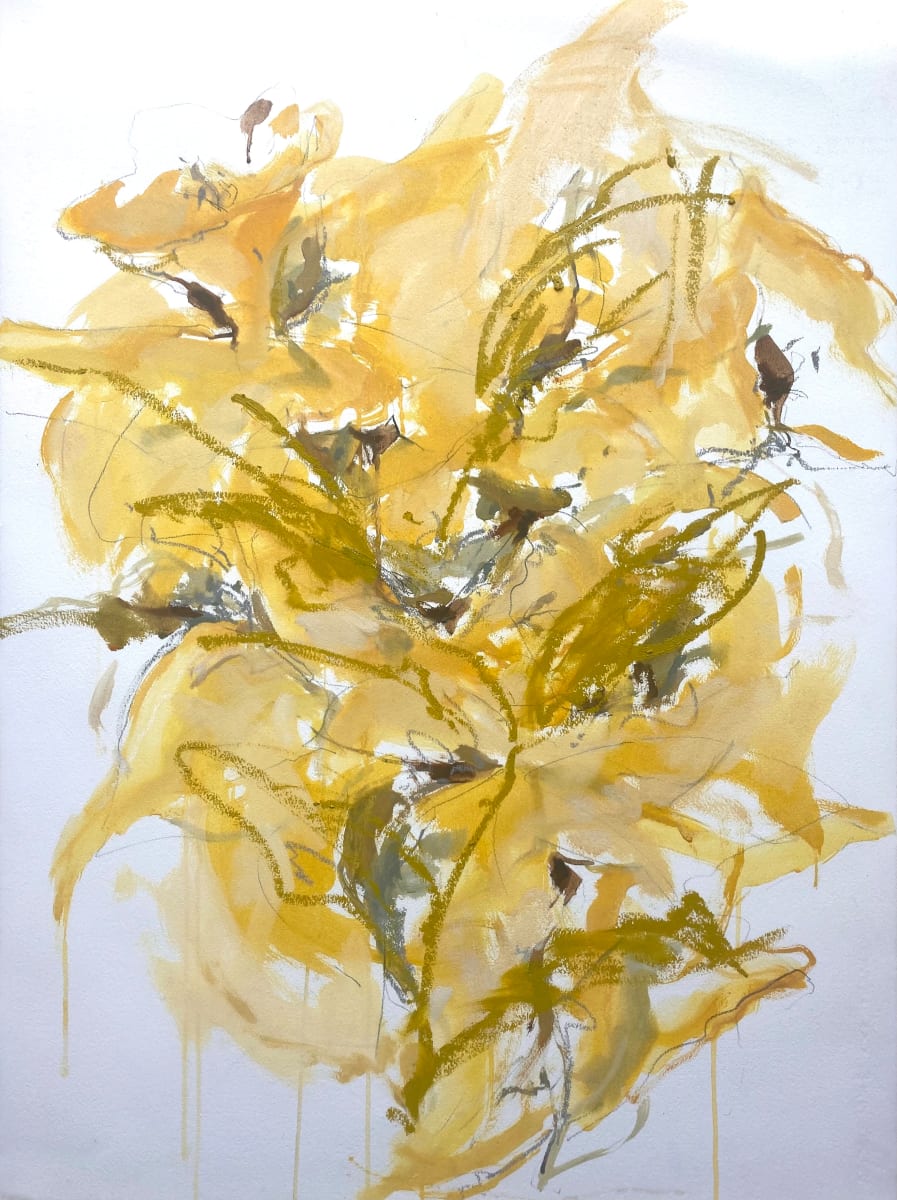daffodil lingerings 