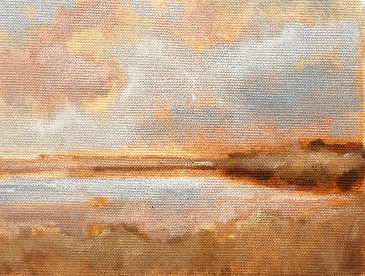 marsh study, Image 1.