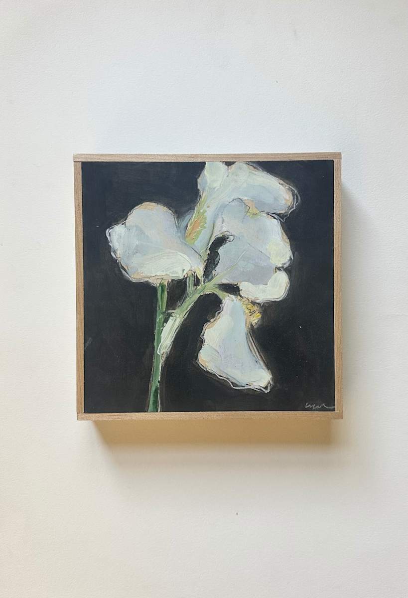 White iris by Christen Yates 