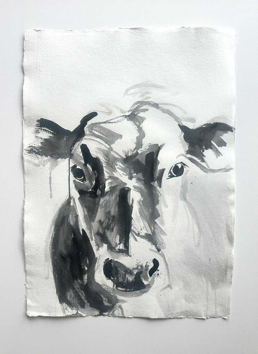 cow portrait in ink by Christen Yates 