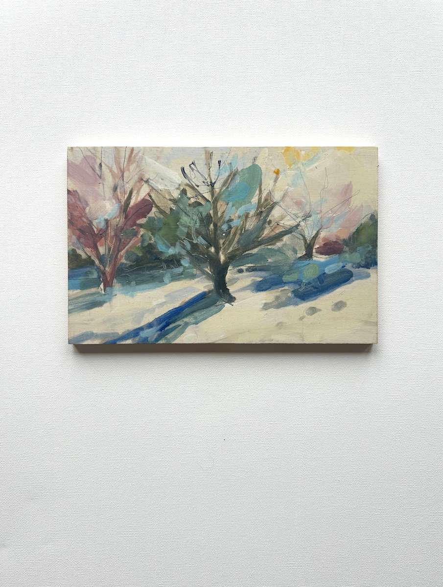 Winter sun shadows by Christen Yates, Image 1.