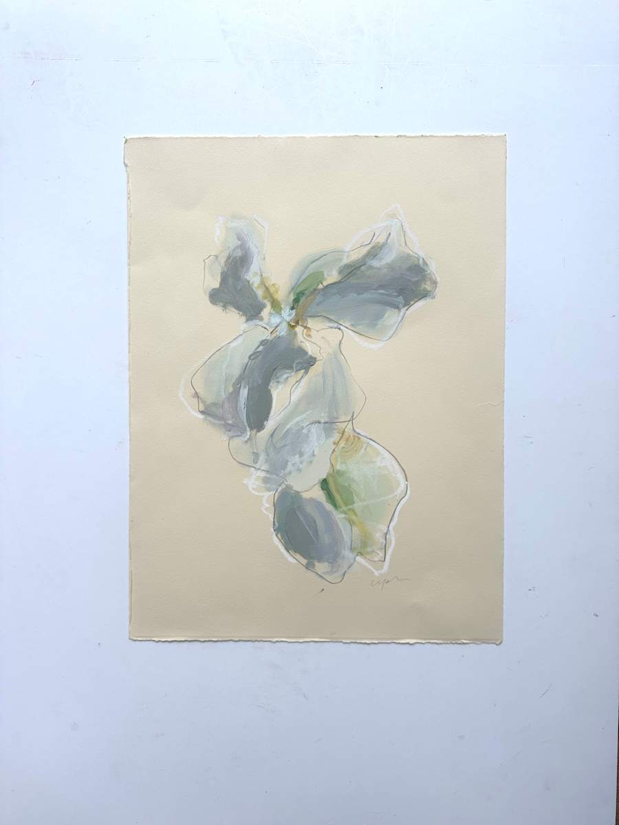 white iris study by Christen Yates, Image 4.