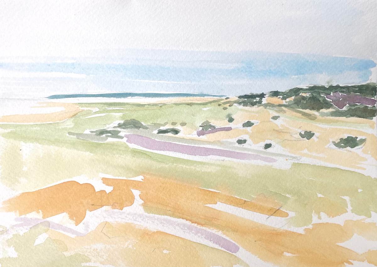 crane's beach, Image 1.