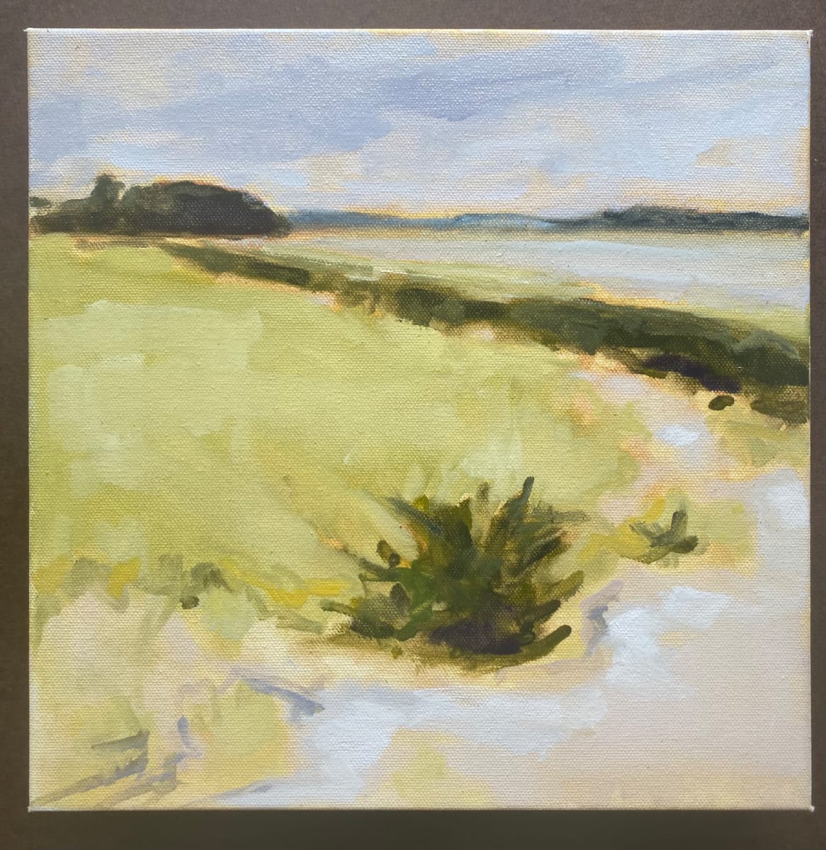 crane's beach study by Christen Yates 