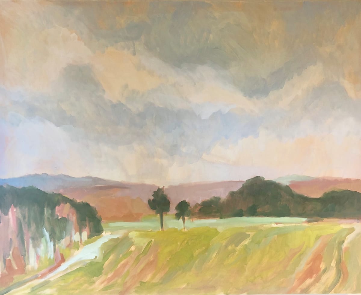 floodplains in pink 