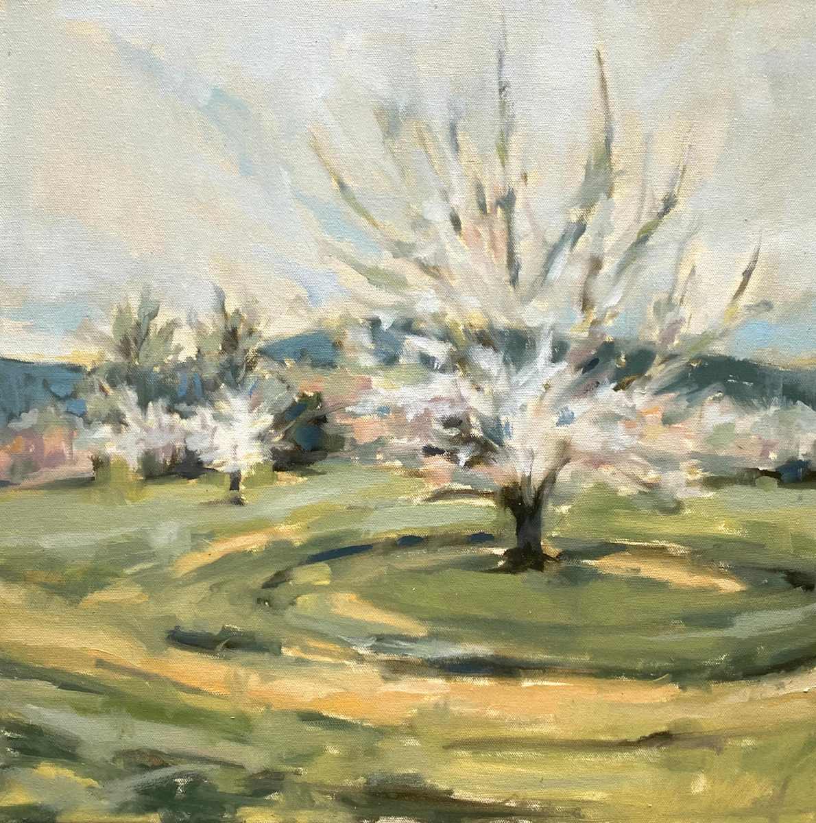 orchard I, Image 1.