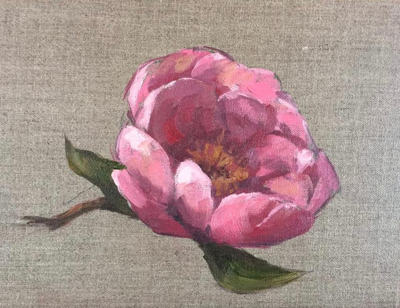 Pink Rose by Vanessa Rothe 