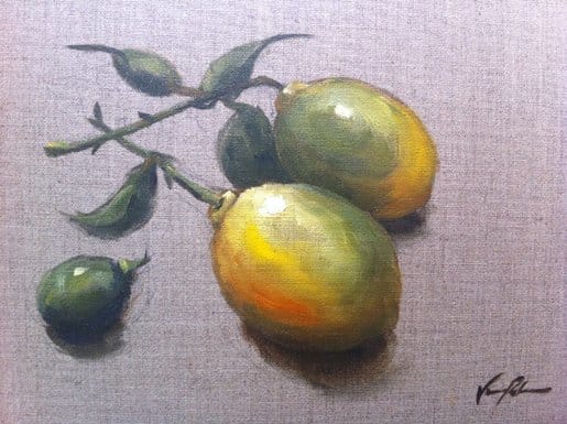 Study of Lemons from life by Vanessa Rothe 