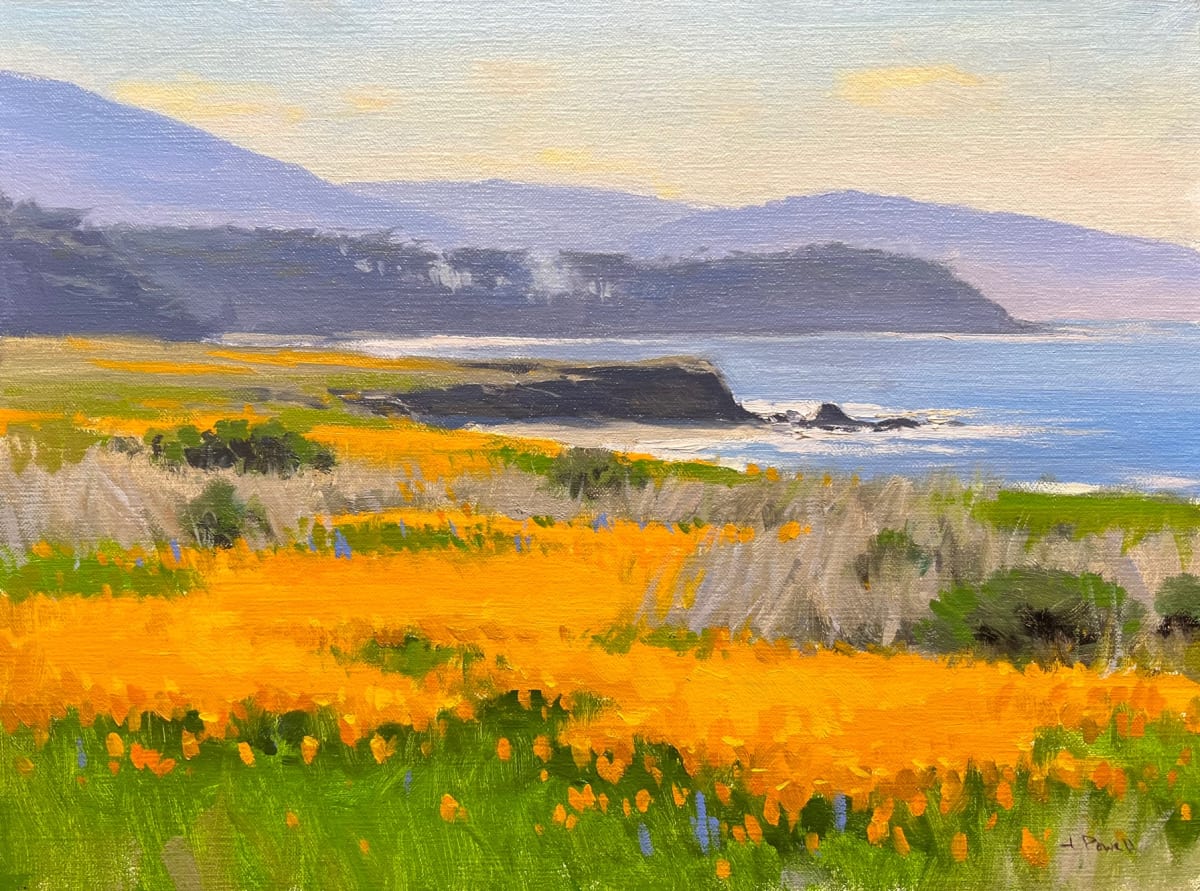 California Poppies by Jesse Powell 