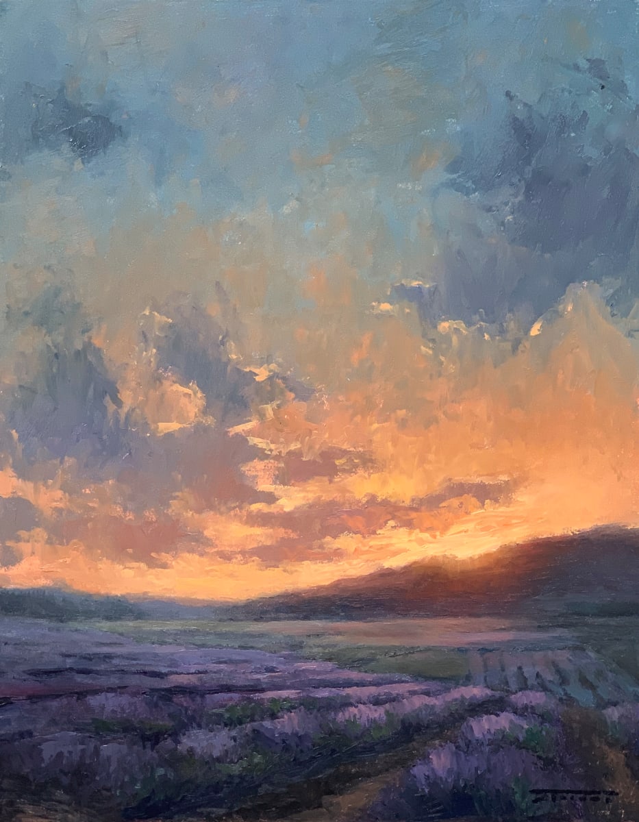 Lavender Dawn by Jane Hunt 