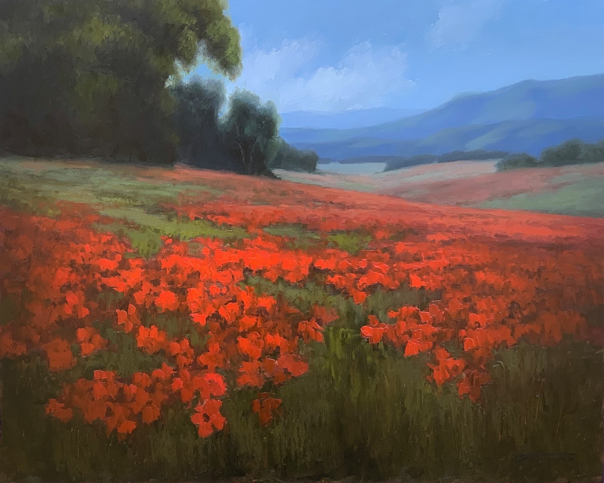 Poppy Fields by Jane Hunt 