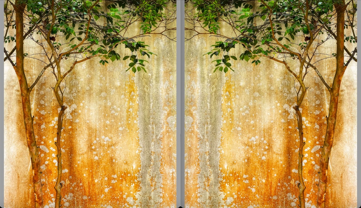 Ambition (I am With You ) Diptych CE 