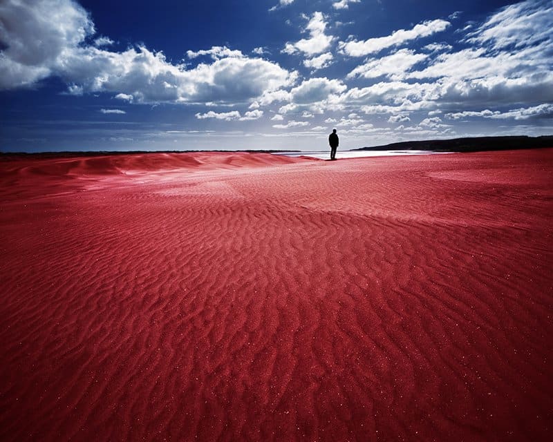 Dreaming Red by Isaac Julien, Image 1.