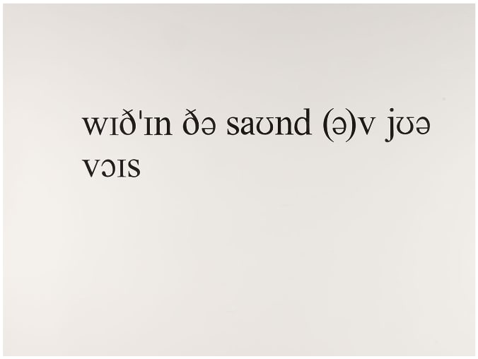 Within the Sound of Your Voice (International Phonetic Alphabet) by Matthew Buckingham, Image 1.