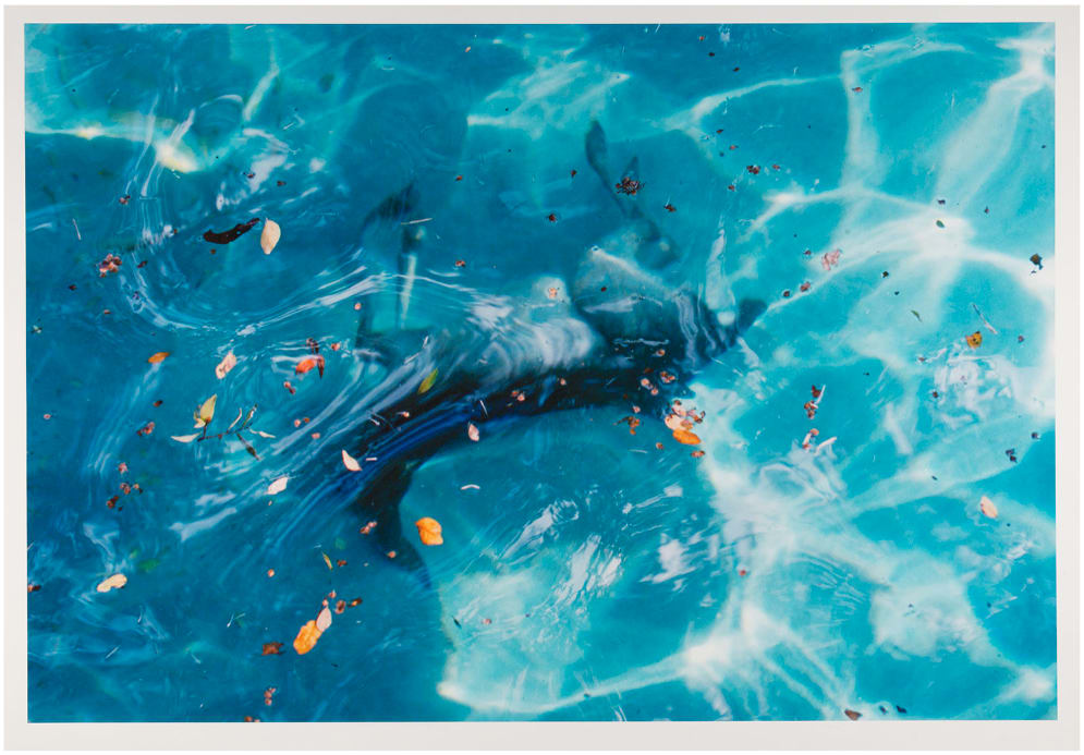 House with Pool (Production Still) by Teresa Hubbard / Alexander Birchler, Image 1.