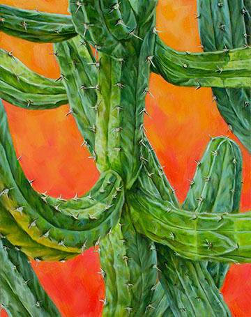 Cactus Study by Emily Baker 