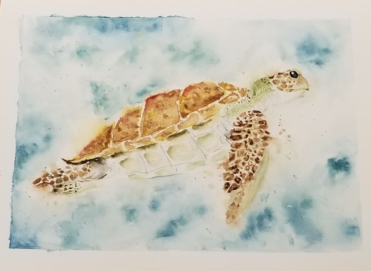 Turtle by Brennan Flach 