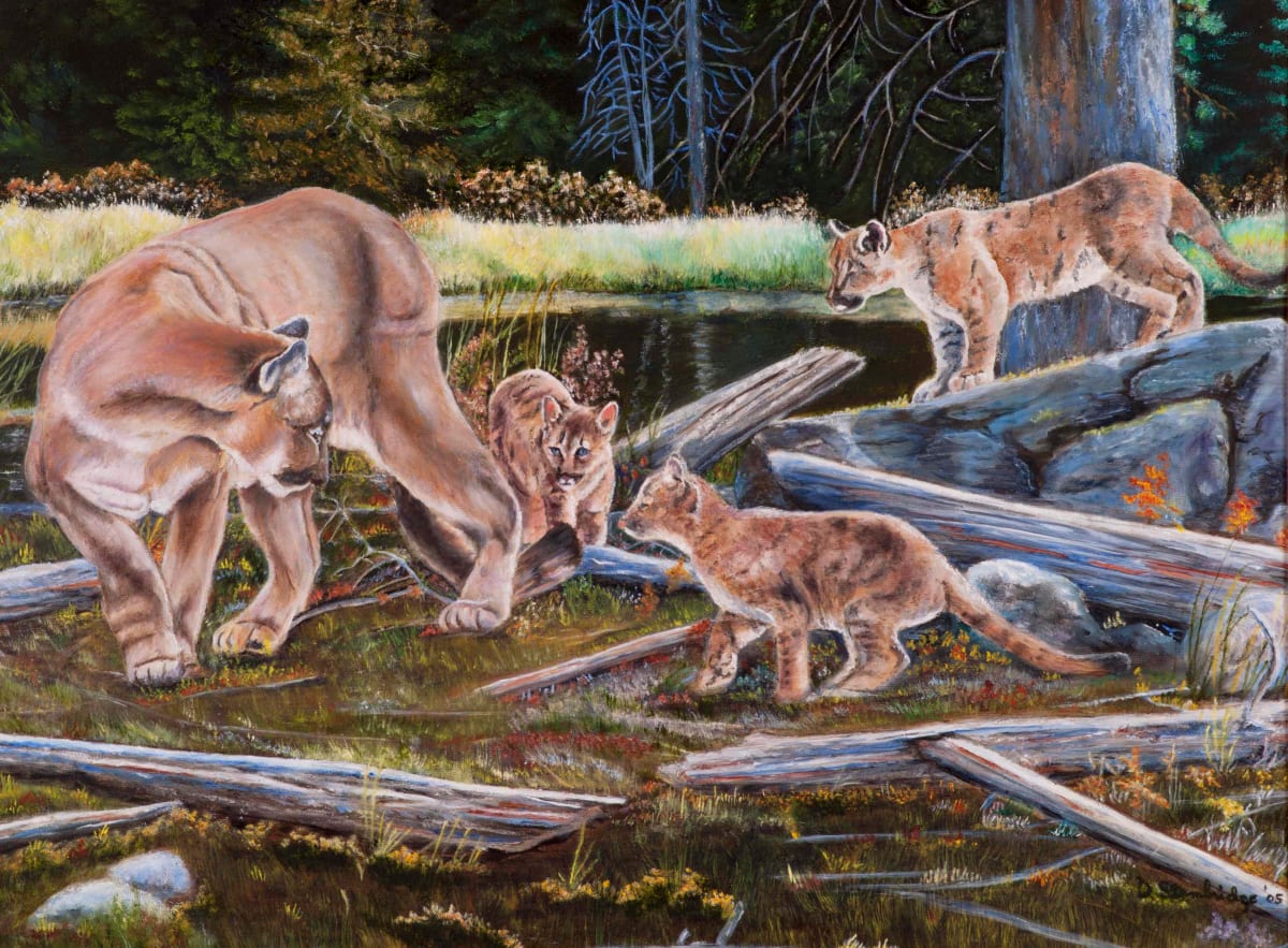 Mountain Lion Family by Dorothy Stembridge 