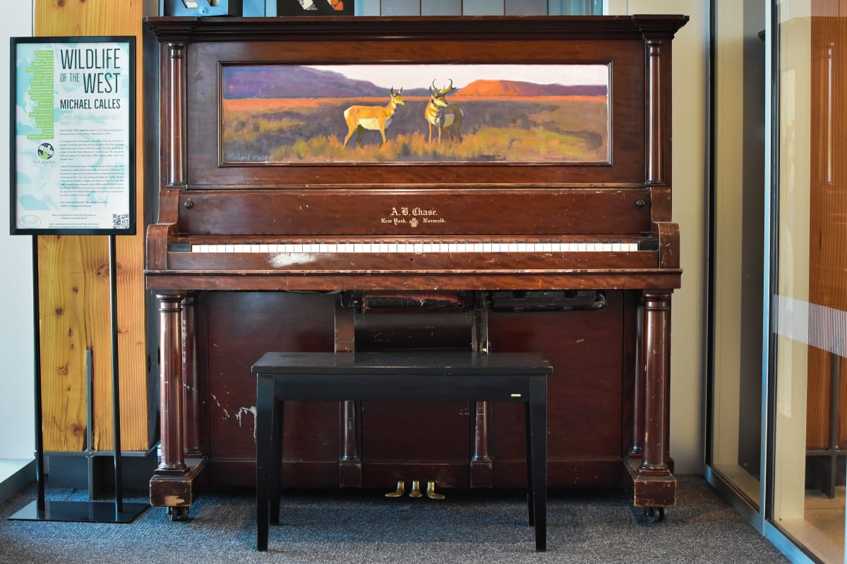 Wildlife of the West by Michael Calles 