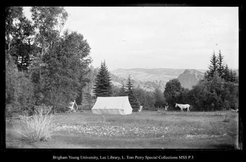 [Camp East Fork, Chalk Creek] by George Beard  Image: Two tents, a man, and a horse in a clearing.