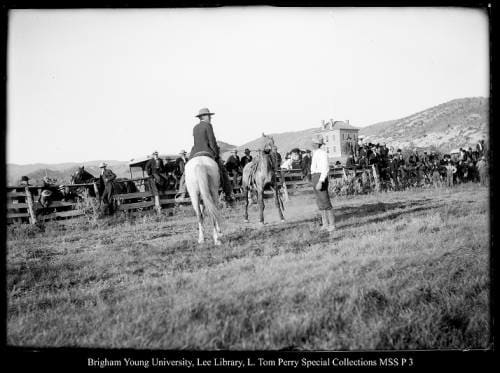 [Summit County Fair Grounds] by George Beard  Image: A crowd watching a man rope a colt.

