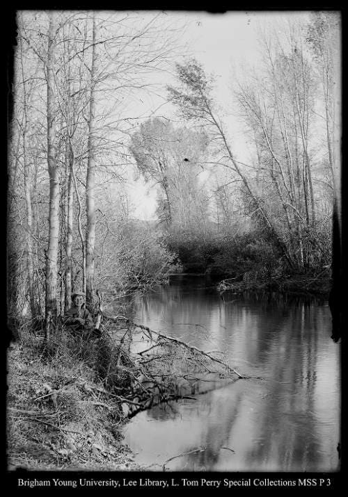 [Paul Beard, Chalk Creek] by George Beard  Image: A boy on the banks of a creek.