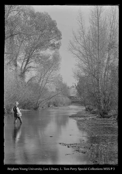 [George Beard fishing in Chalk Creek, Coalville, Utah] by George Beard  Image: A man fly fishing in a creek.