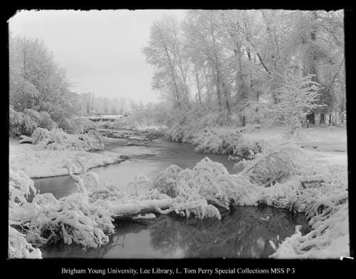 [Chalk Creek] by George Beard  Image: A snow-covered log fallen across a windy creek withy snowy banks.