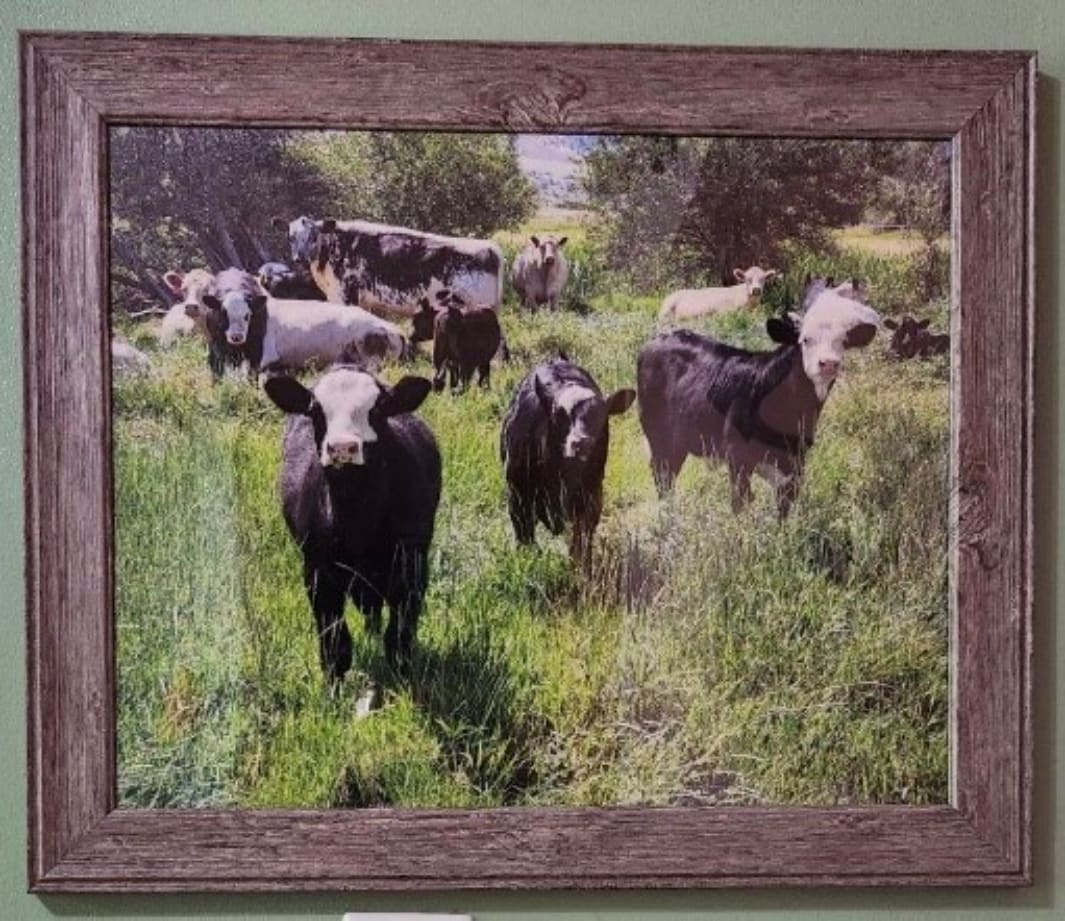 Home on the Range by Linzee Vernon 