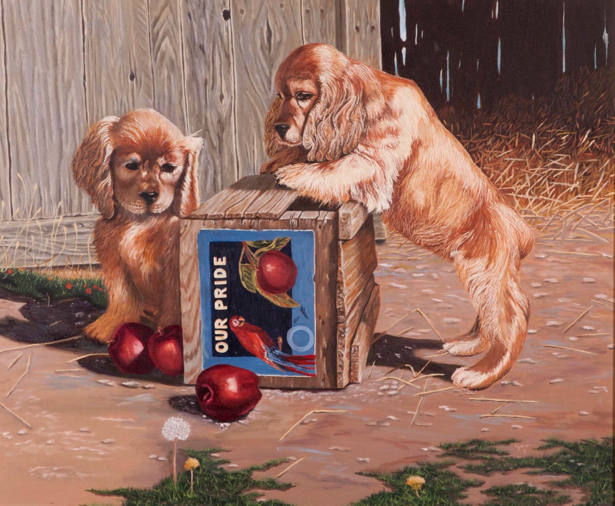 Our Pride by Jan Keyes Megarry 